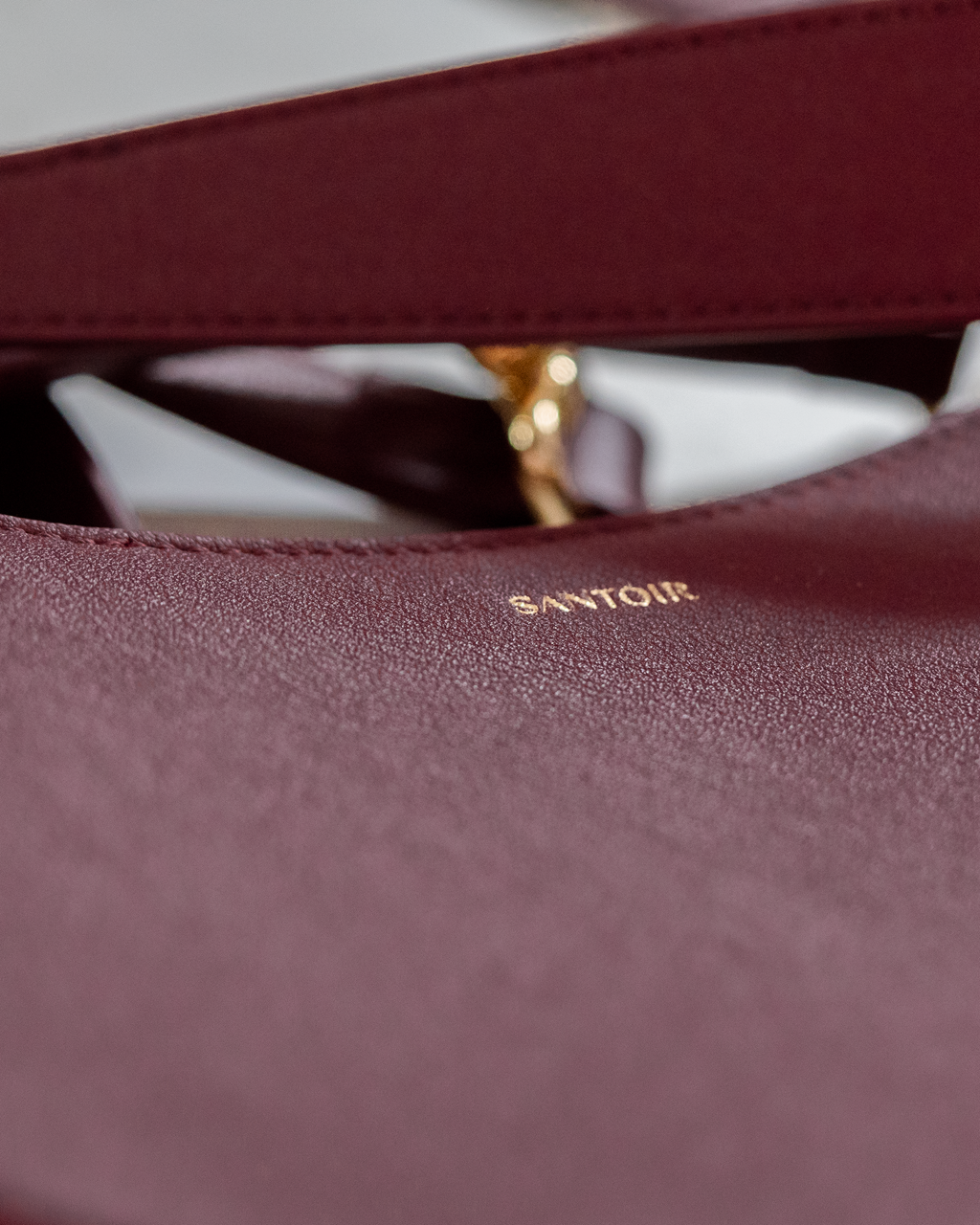 Luna Bag in Bordeaux Angled Close Up (Vertical)