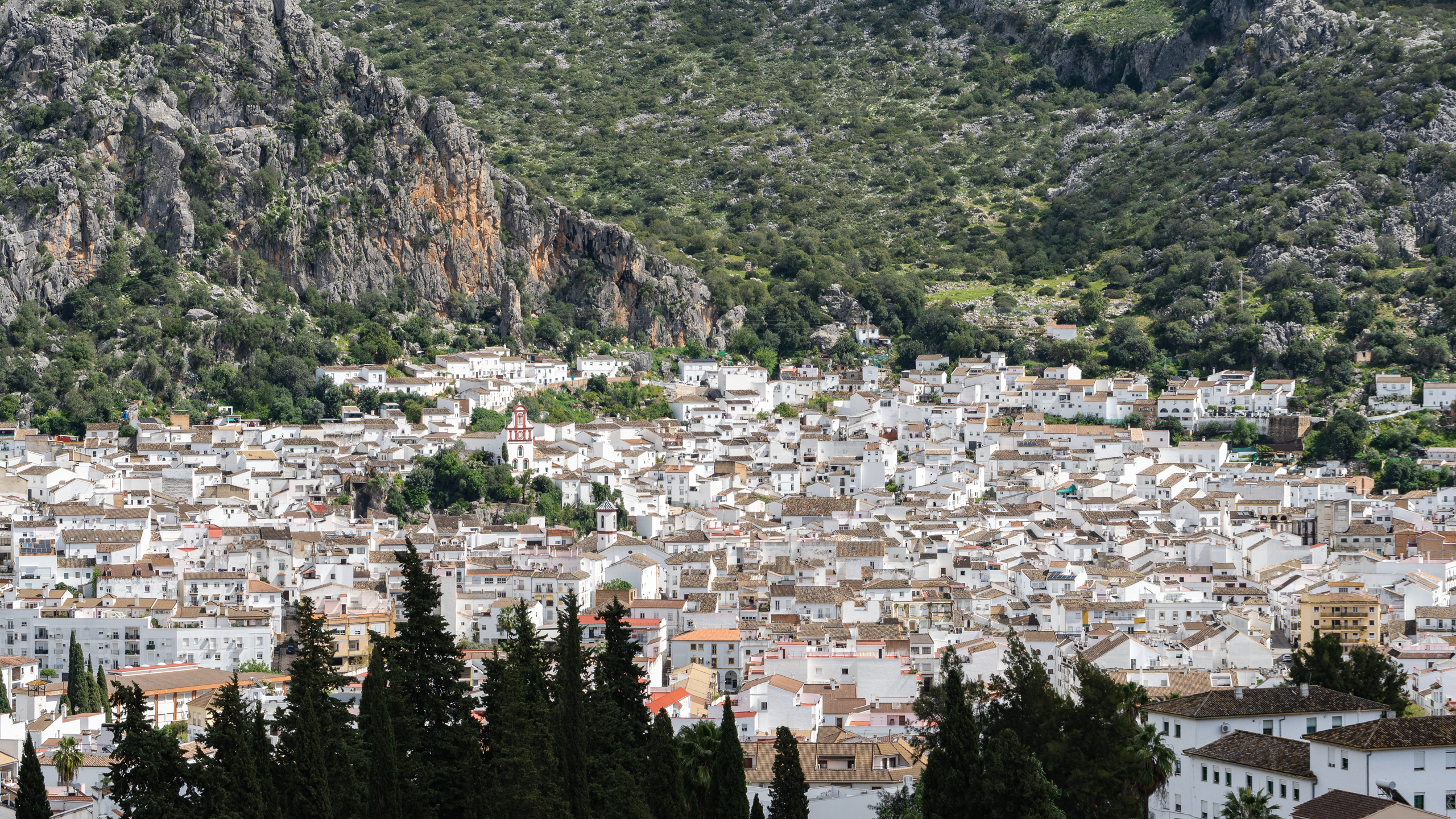 Ubrique landscape with trees at the bottom